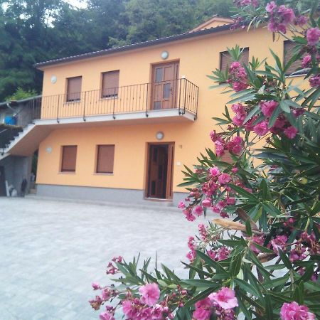 Apartmaji Matazin Črni Kal Dış mekan fotoğraf