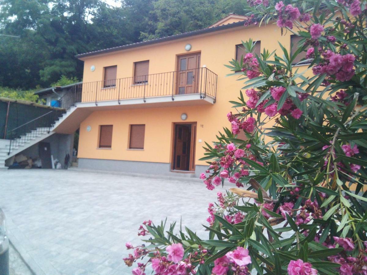 Apartmaji Matazin Črni Kal Dış mekan fotoğraf