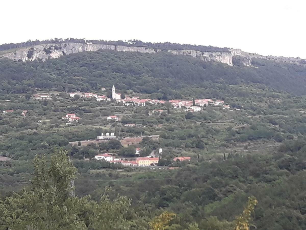 Apartmaji Matazin Črni Kal Dış mekan fotoğraf